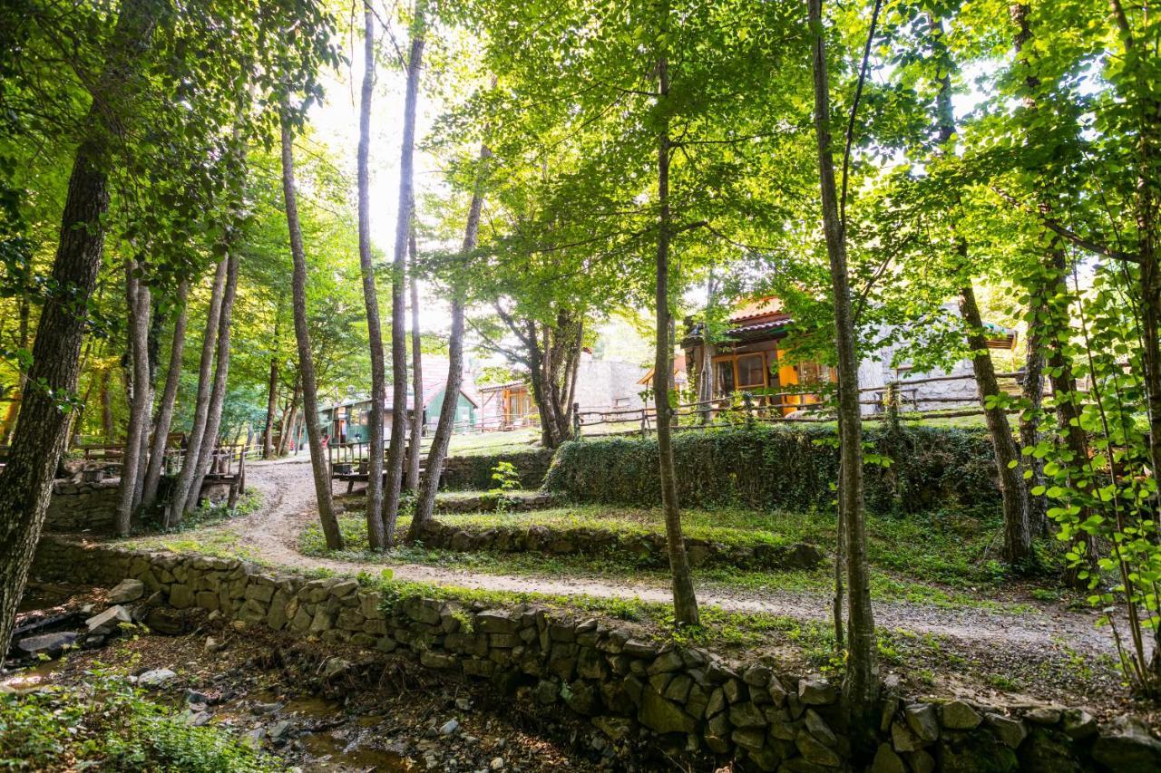 Hindiba Doga Evi Hotel Mengen Buitenkant foto